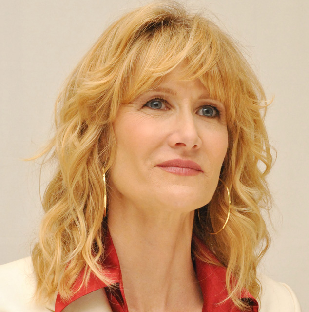 31 laura dern 021113 enlightened - Philza Merch